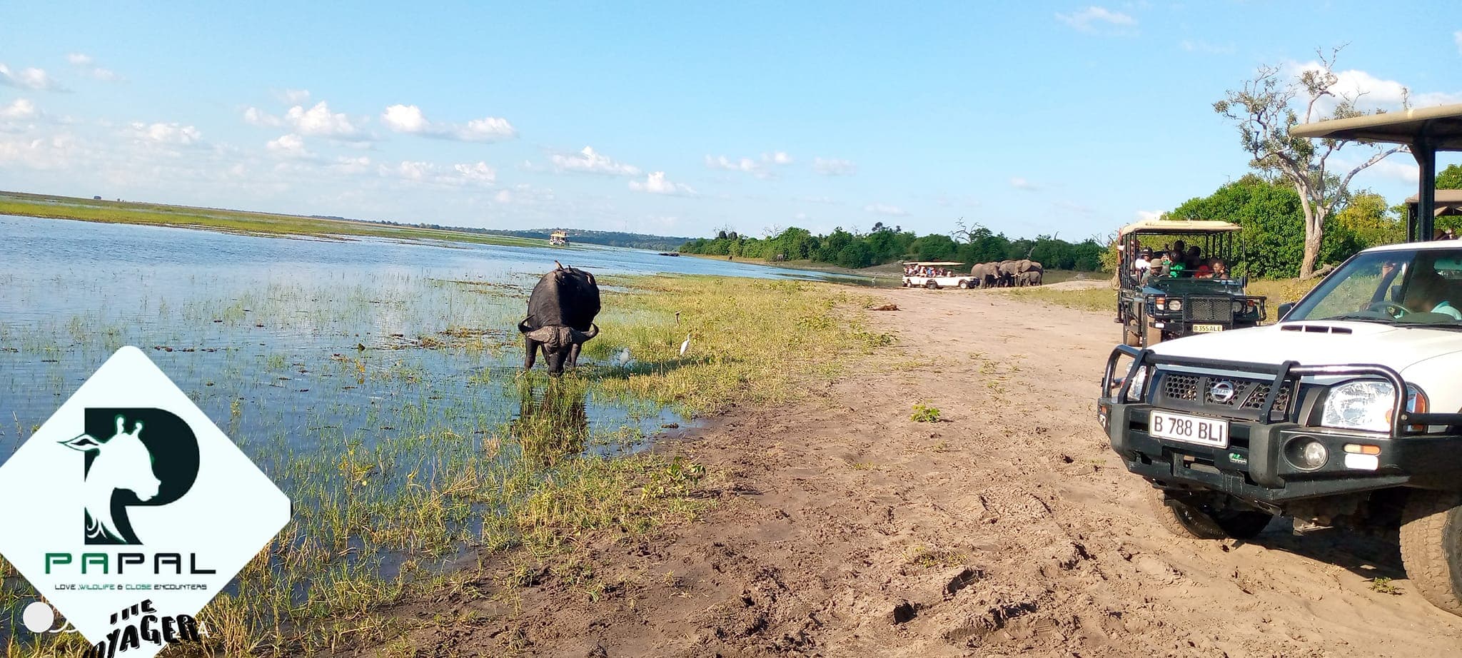 Full-Day Chobe Safari — PAPAL Safaris, Chobe, Botswana
