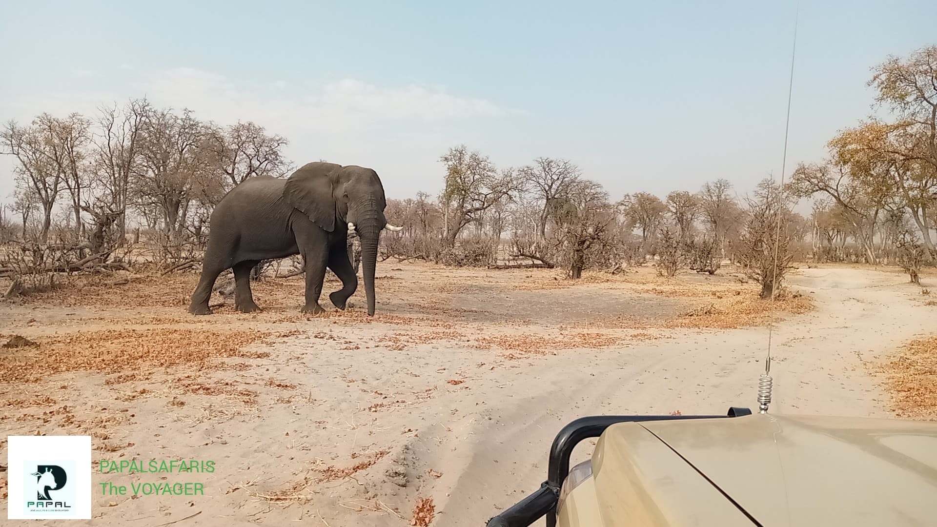 Chobe National Park — Safari destination in Botswana