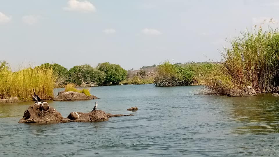 Chobe River — Safari destination in Botswana